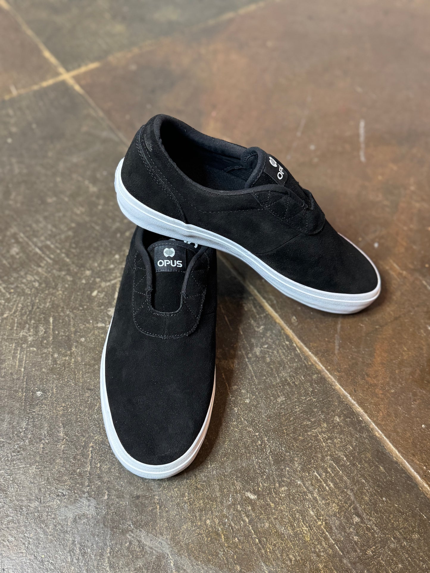 Black Honey Slips