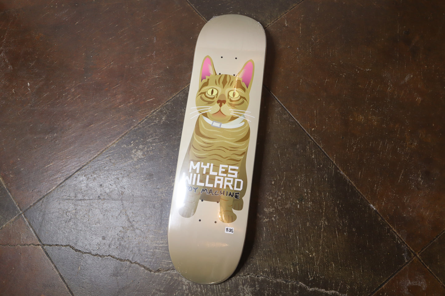 Willard Cat - 8.25 Deck